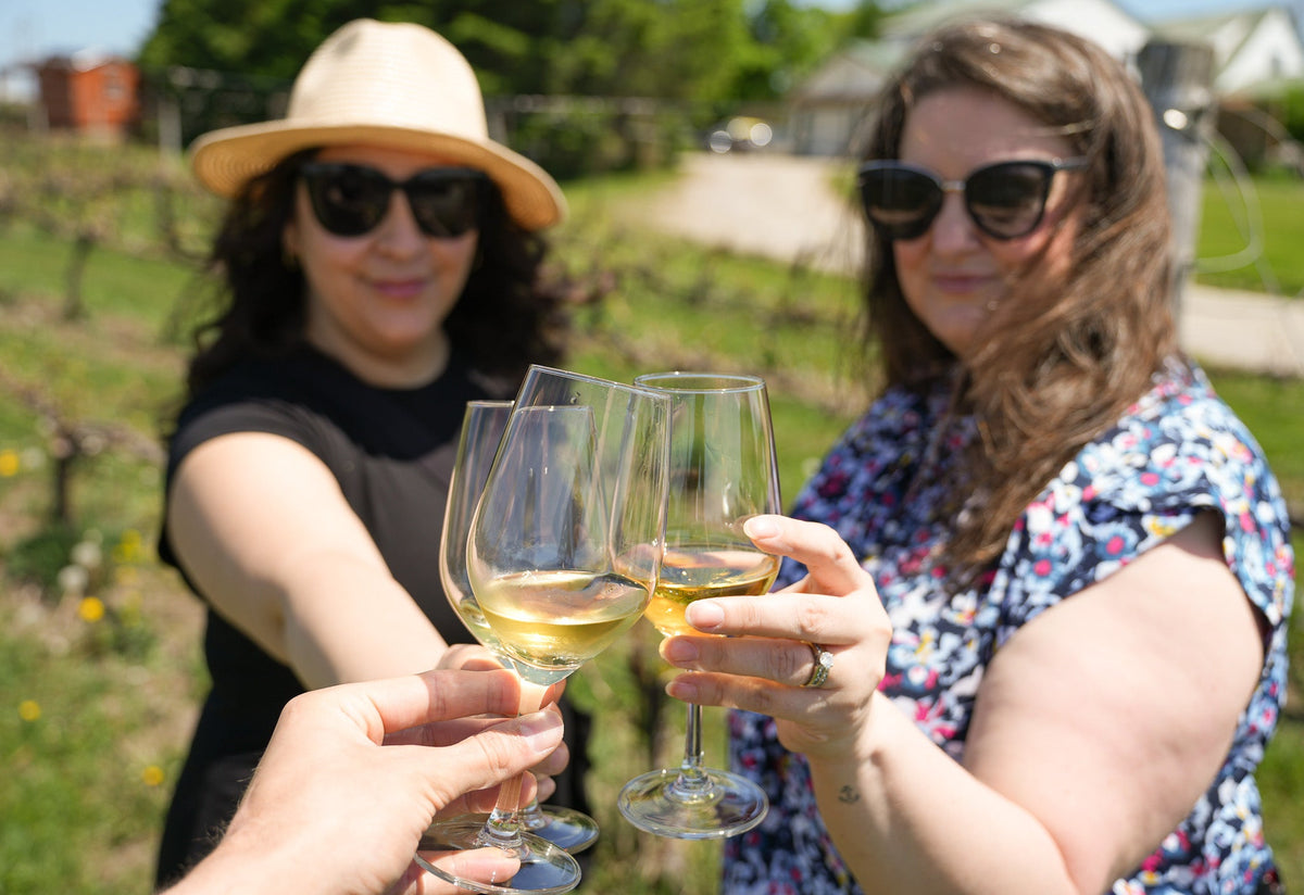 Orange Wine: Ancient Tradition, Modern Revival — and Where to Try It i ...