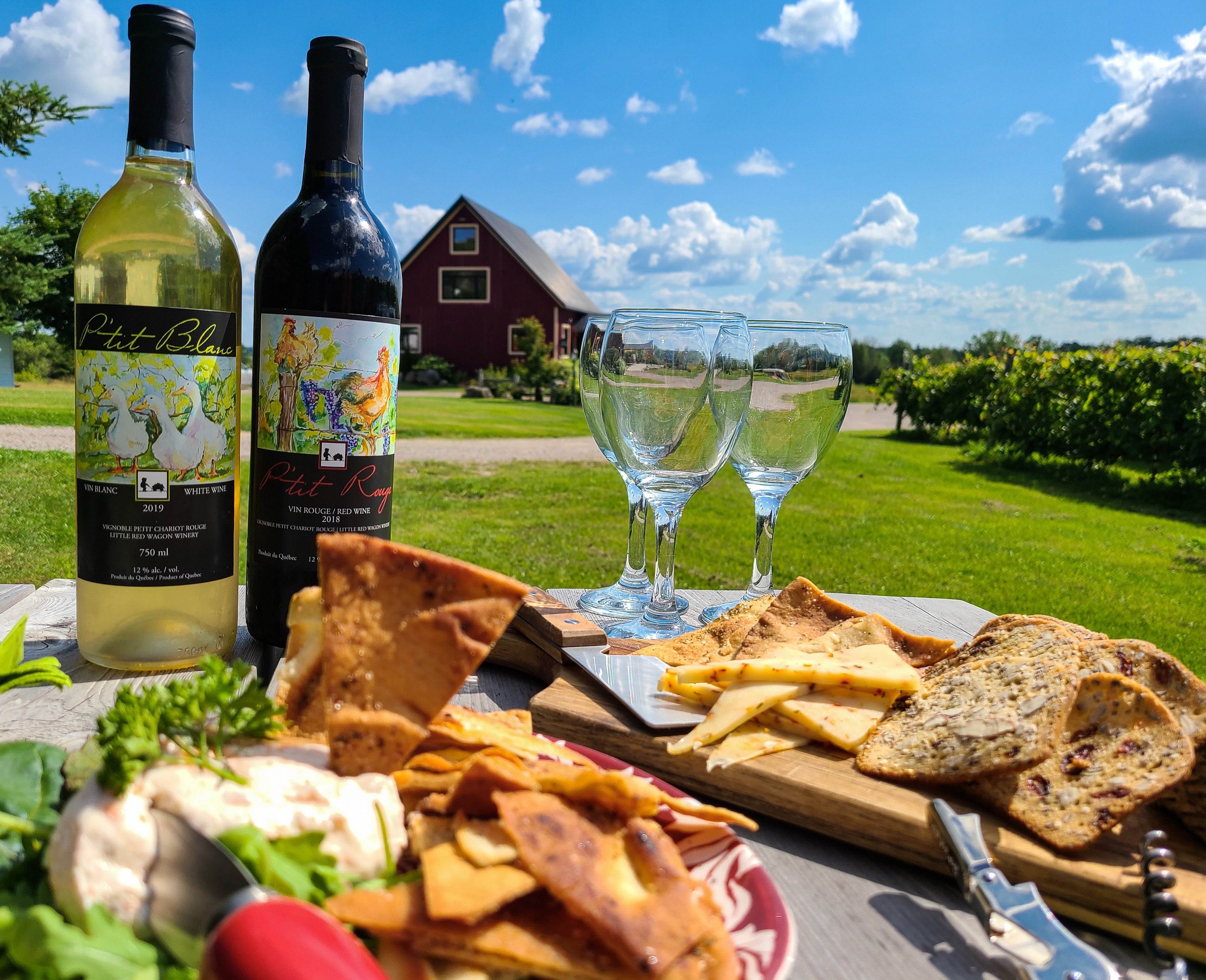 Wine Tour Okanagan